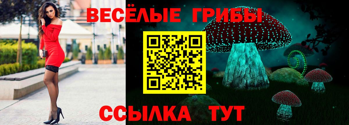 Кемерово  Галлюциногенные грибы ЛСД  Вход с VPN 