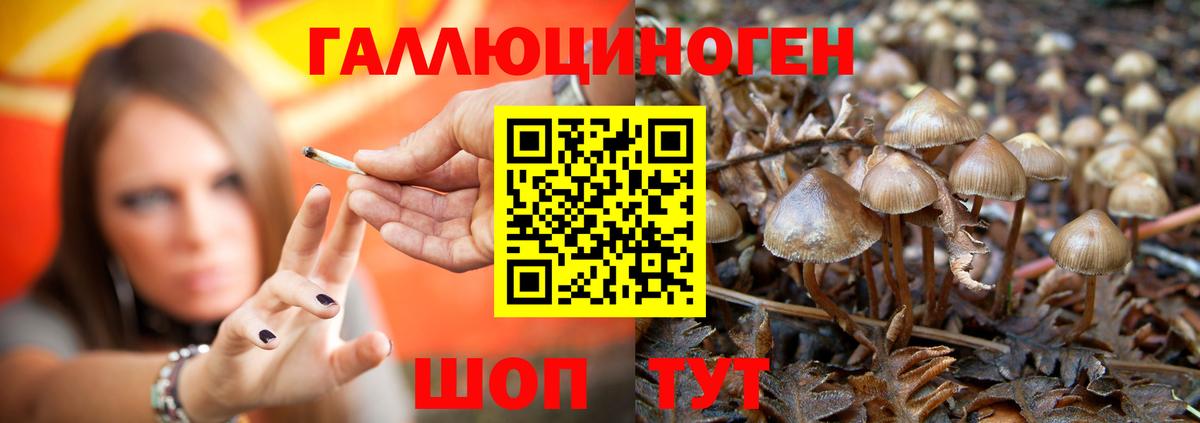Галлюциногенные грибы Cubensis Кемерово